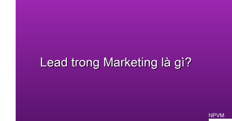 lead trong marketing là gì